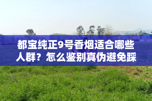 都宝纯正9号香烟适合哪些人群？怎么鉴别真伪避免踩坑？